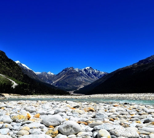 North Sikkim, Lachen & Lachung Sharing Tour